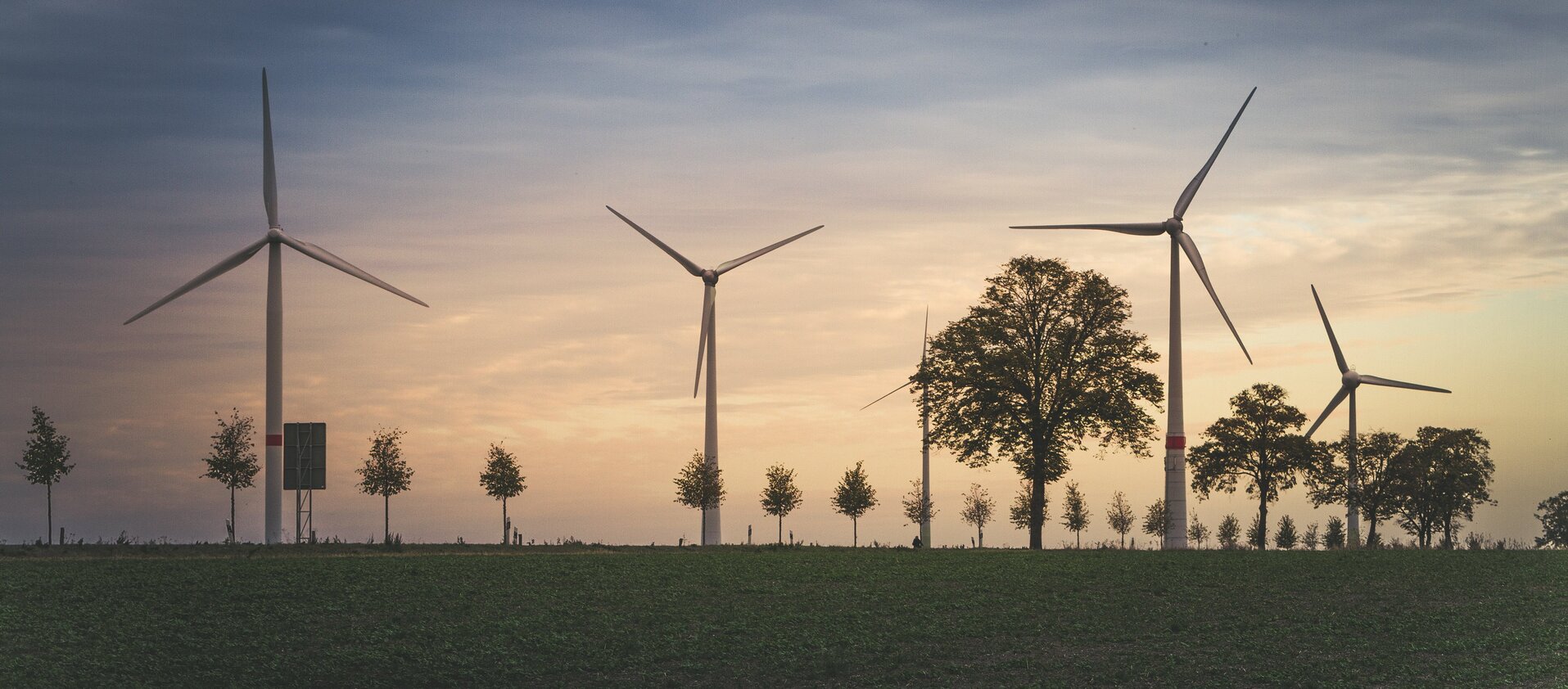 wind power